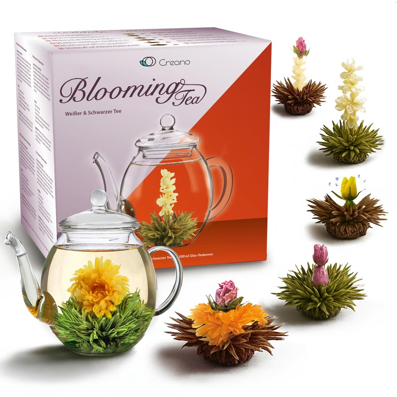 Creano Blooming Tea Gift Set with Glass Pot 17oz/500ml with