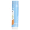 2 Pack Badger Classic Organic Lip Balm - Unscented -