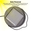 Solar Lantern Hollow Out IP44 Waterproof LED Solar Powered Hanging