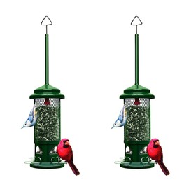 Brome Squirrel Buster Standard Squirrel-Proof Bird Feeder with 4 Metal Perches (Garden Green, 2-Pack)