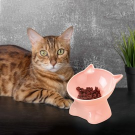 TNSLAND Katzennapf 3er Set, Futternapf Katze, Katzennapf Erhöht mit 15° Neigung, Nackenpflege Katzenschüssel, Anti-Kotz Erhöhte Katzennäpfe, Katzenfressnapf Wasser Katzennäpfe Erhöht Katzen Futternapf