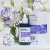 Sante Azulene Soother Ampoule 100ml / 상떼 아줄렌 수더 앰플