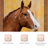 Riyidecor Stall Half Rv Horse Shower Curtain 36Wx72H Inch Rustic