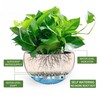 Dexceder 10.5 Inch Large Self Watering Hanging Planters Indoor Outdoor,