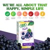 TRUE LEMON KIDS Groovy Grape (10 Packets) for Hydration -