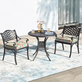 LVTXIII Patio Chair Cushions 22"x22"x3", Water-Repellent Outdoor Seat Cushions for Patio Furniture, Square Chair Pads with Ties for Home Garden Decoration, Set of 2, Pretty Paisley