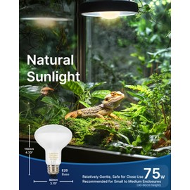 FLSNT 75W 2Pack Pet Lamp for Reptiles Glass Heat Bulbs Night Heat Lamps for Terrariums Ideal for Turtles, Leopard Gecko, Ball Python, Bearded Dragon, Snake and Chicken E26