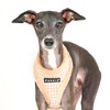 Puppia Dog Harness for small and medium dogs - SHEPHERD