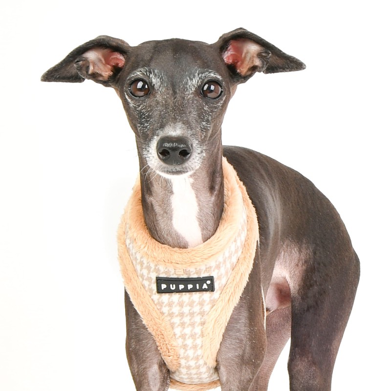 Puppia Dog Harness for small and medium dogs - SHEPHERD