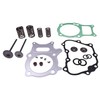 Lesurey Cylinder Head Valve Gasket Kit Compatible with Honda TRX250TM