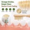 4-Pack Natural Boar Bristle Toothbrush for Adults