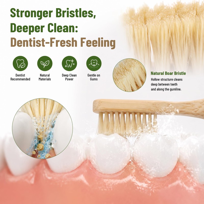 4-Pack Natural Boar Bristle Toothbrush for Adults