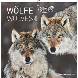 Wölfe 2026 - Broschürenkalender 30x30 cm (30x60 geöffnet) - Kalender mit Platz für Notizen - Wolves - Bildkalender - Wandplaner - Alpha Edition: Wolves