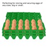 HEEPDD 5Pcs Plastic Egg Trays, 30 Cell Egg Crates Stackable