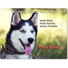 Merchandise for Fans Warning Sign Aluminium 20 x 30 cm