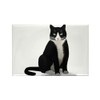 CafePress Black And White Tuxedo Cat Magnets Rectangle Magnet, 3"x2"