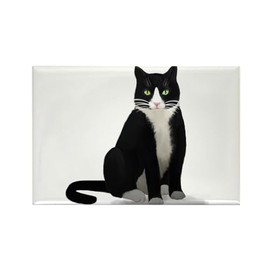 CafePress Black And White Tuxedo Cat Magnets Rectangle Magnet, 3"x2" Refrigerator Magnet