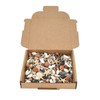 Avalon Mixed SEA Shells Collectable Small Seashell Mixes, Decorative Craft