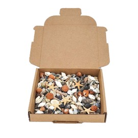 Avalon Mixed SEA Shells Collectable Small Seashell Mixes, Decorative Craft Shells, White Shells, Starfish, Weddings/Home Decor, Beach & Costal Themed Arts and Crafts Projects & Parties (Mix #MR)