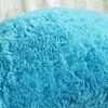 Sea Soft Lion Velvet Throw Pillow Case Cushion Cover Fashion