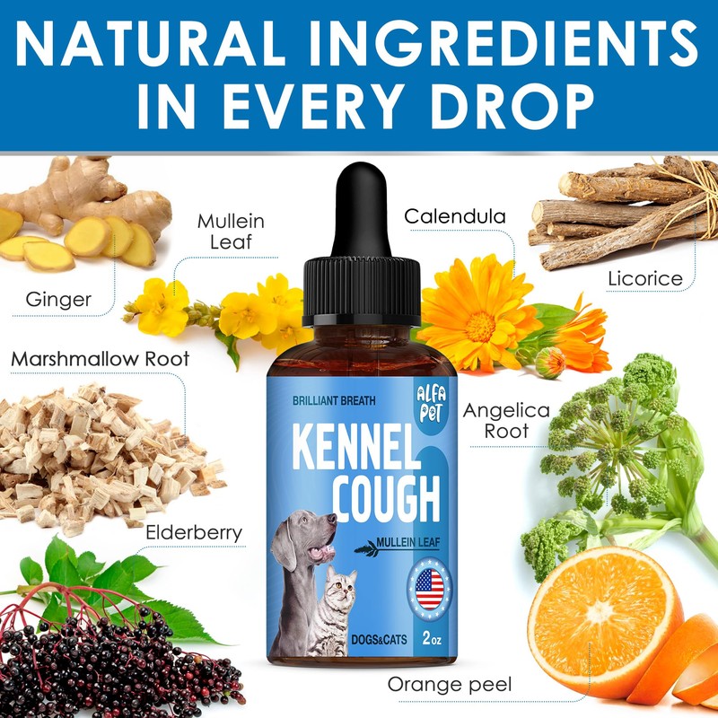 Dog Cough Treatment Liquid • Kennel Cough for Dogs &