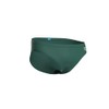 ARENA Men's Santamarias R Swim Briefs (Pack of 1)