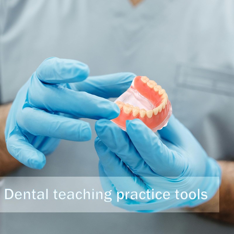 Dental Model Overdenture Transparent Dental Implants Model Detachable Model Lower