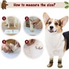 SCENEREAL Double Side Anti-Slip Dog Socks for Hardwood Floors to