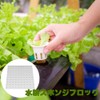 Dekori Hydroponic Growing Sponge, Vegetable Planting Sponge, Hydroponic Cultivator, 300