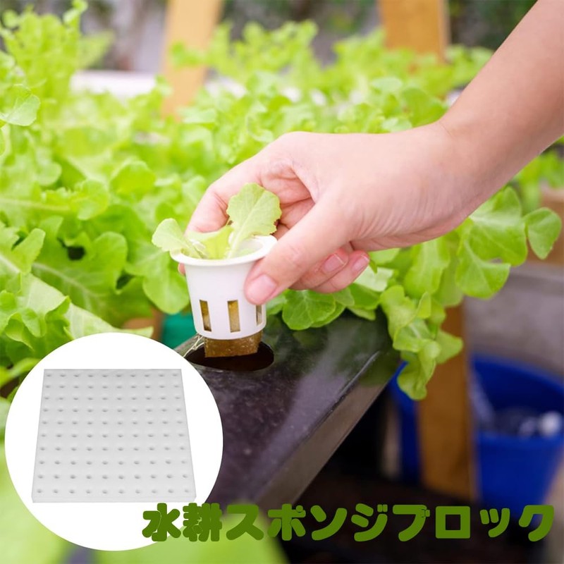 Dekori Hydroponic Growing Sponge, Vegetable Planting Sponge, Hydroponic Cultivator, 300