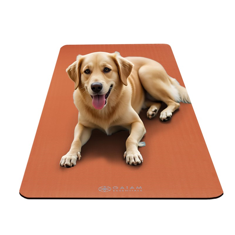 Gaiam Essentials Thick Yoga Mat Fitness & Exercise Mat with