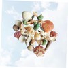 DOITOOL 1pack Natural Shell Conch Fish Tank Landscaping DIY Craft