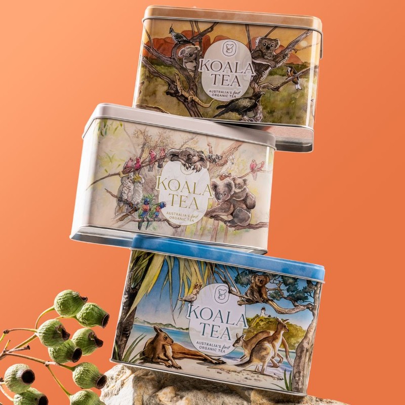 Koala Tea Gift Tin Beach - Organic Tea Bags Selection