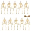 10 Pcs Mini Halloween Skeleton Decorations, White Small Plastic Skeleton