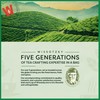 Wissotzky Nana Mint Green Tea, 20 Tea Bags | Antioxidant