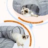 PAWZ Road Cat Tunnel Bed with Central Mat and Peek