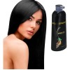 DILER Tinte Instantáneo Cubre Canas 3en1 Shampoo Natural Con Extracto