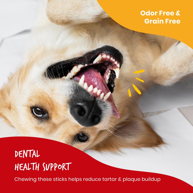 Beefeaters 12in Bully Sticks 6ct – All-Natural, Highly Digestible, Promotes