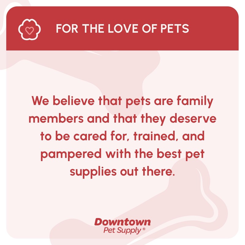 My Doggy Place Dog Mud Mat, 31" x 20" Chive