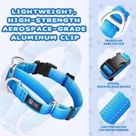 ARBLINA Martingale Dog Collar Light-Reflective Polyester Collars for Dogs Whippets, Greyhounds, Saluki, American Bully, No-Pull No-Escape Safety Training Heavy Duty Adjustable Collars -S Blue