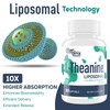 CyberCerix Liposomal L-Theanine 500mg, Complex with GABA 200mg & Magnesium