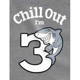 Tstars Gift for 3 Year Old Boy Girl Chill Out Shark 3rd Birthday Toddler Kids T-Shirt 2T Gray