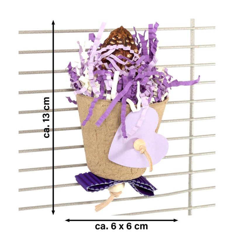 HappyBird Mahogany Cup Natural Nibble Toy for Wall Mounting, Purple/White,