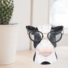 Black White Cow Head Wearing Glasses Statues Resin Stable Glasses