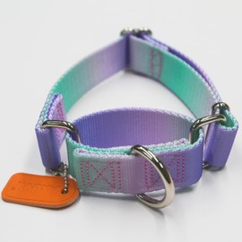 Axdvk Martingale Dog Collar Colorful Gradient Fashionable - Anti-Escape Soft Durable Pets Collar for Walking Training Outdoor Daily Use -1 inch Wide XSmall, Purple Green