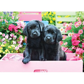 EuroGraphics Black Labs in Pink Box 500 Piece Puzzle