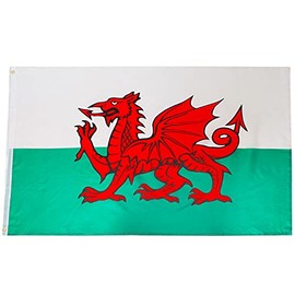 5Ft X 3Ft Wales Welsh Flag With Eyelets Red Dragon