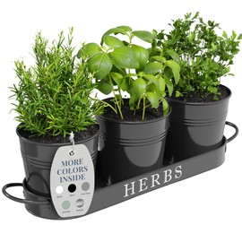 Barnyard Designs Indoor Herb Garden Planter Set with Tray, Metal Windowsill Plant Pots with Drainage for Outdoor or Indoor Plants, Set/3 (Black)