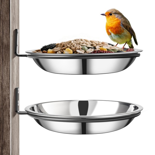 Crow Feeder Tree Mount, Stainless Steel Bird Feeder Tray Outdoor