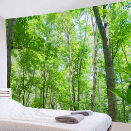 LB Natural Landscape Decoration, Wall Hanging, Tree, Forest, Decorative Fabric, Stylish, Wall Decoration, Interior, Modern, Multifunctional, Cloth Poster, Party, Shop, Room, Window, Personality, Gift, Celebration (78.7 x 59.1 inches (200 x 150 cm)